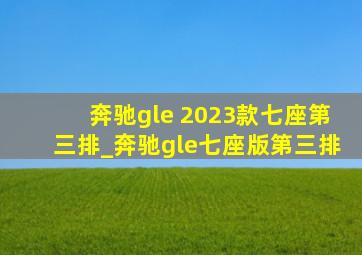 奔驰gle 2023款七座第三排_奔驰gle七座版第三排